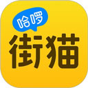 私密观影播放器